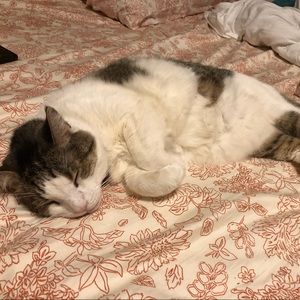 Meet your Posher, Liliana